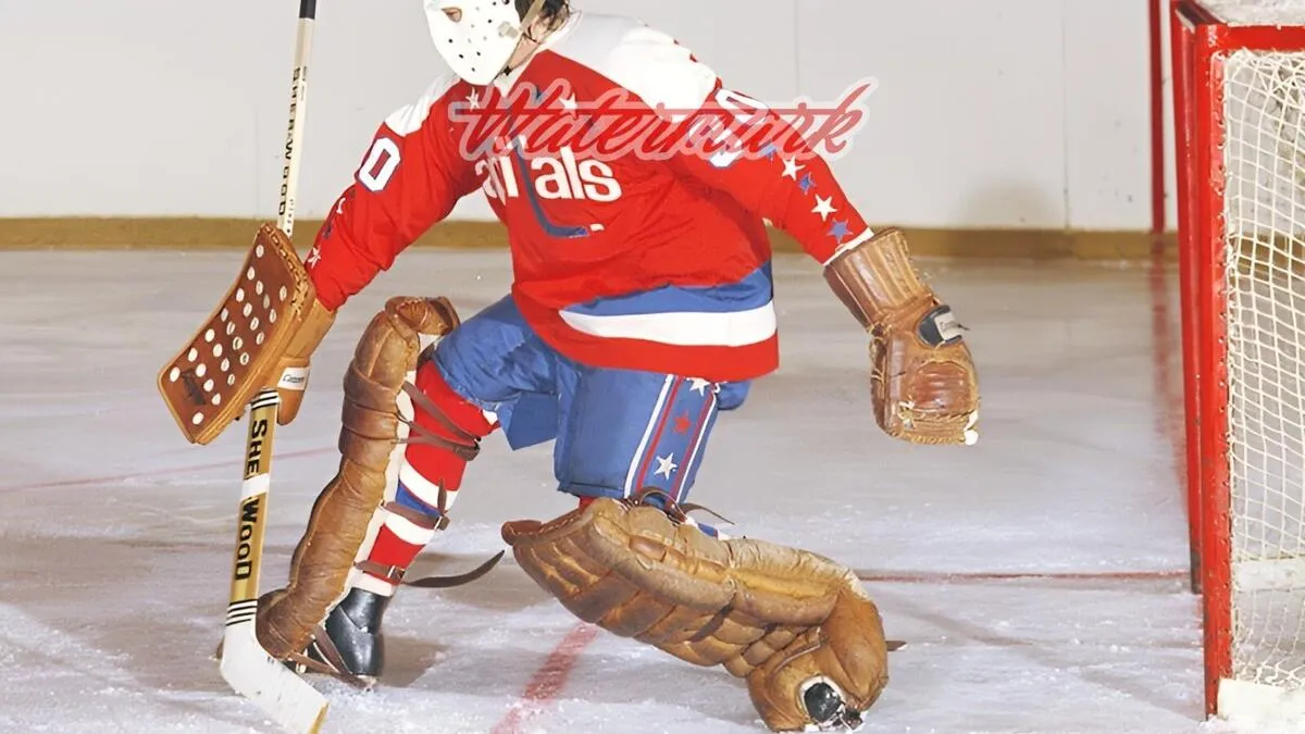 The top five NHL goaltenders of the 1970s: legends who defined a decade - Article Analysis sur NHL Insight