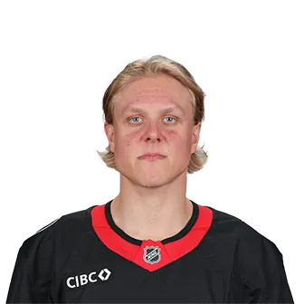 Fabian Zetterlund headshot