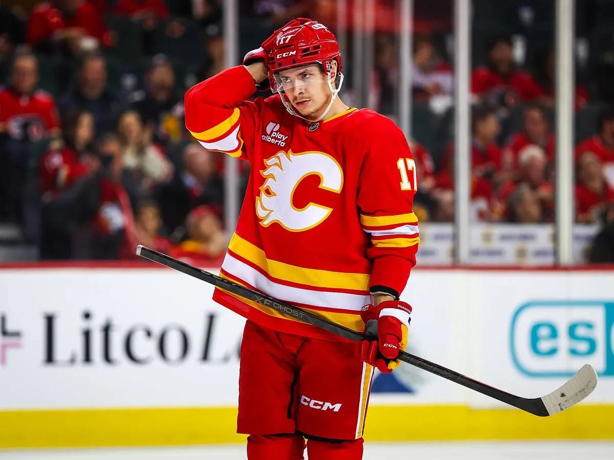 2026 NHL Draft: Five Defensemen Poised for Early Impact - Article Draft & Prospects sur NHL Insight
