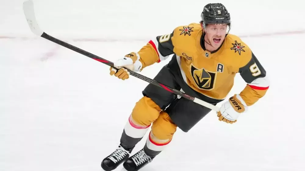 anaheim-vegas-rivalry,-ducks-vs-golden-knights,-pacific-division-showdown_0.webp