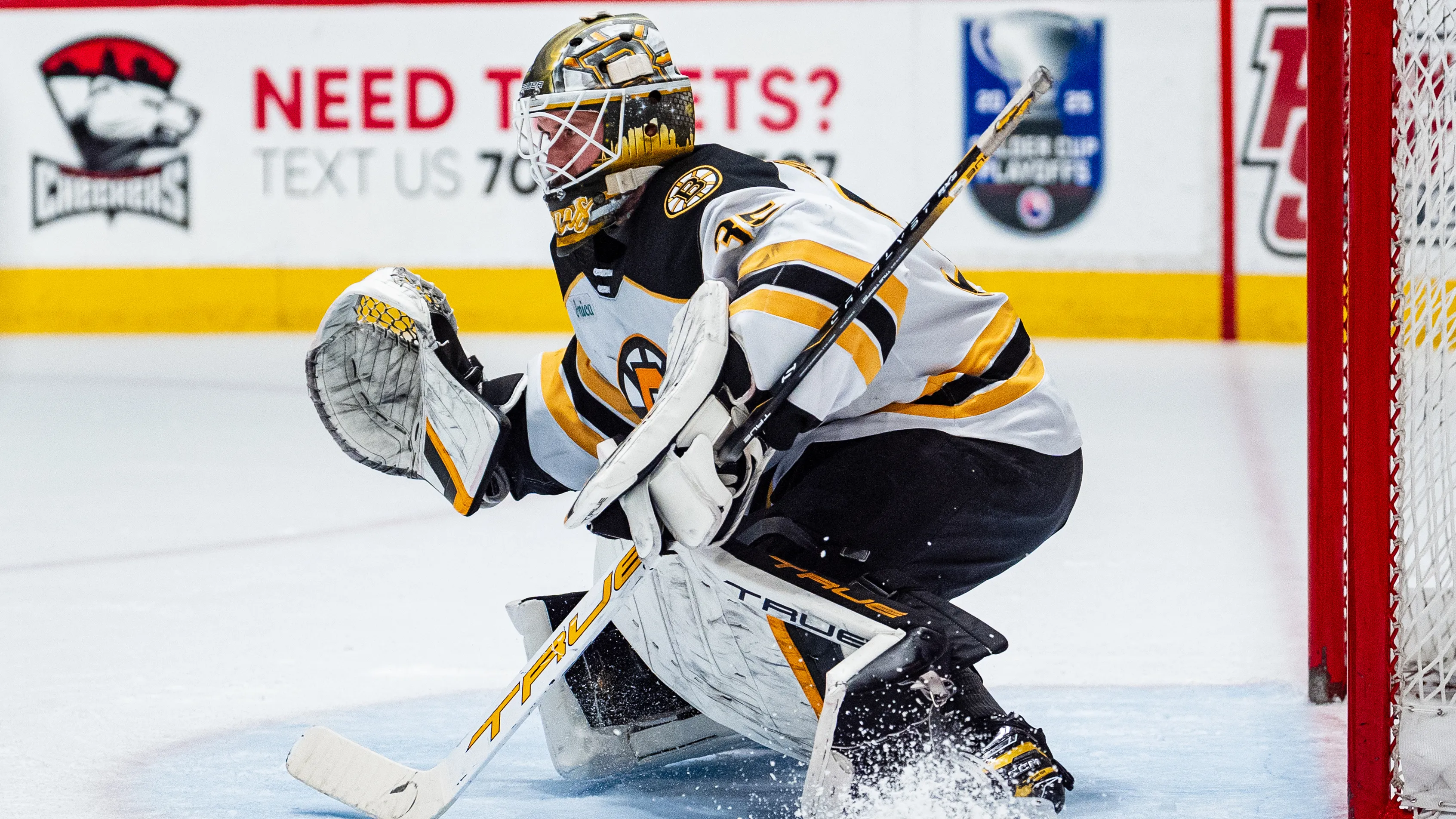 brandon-bussi-netminder_0.jpg