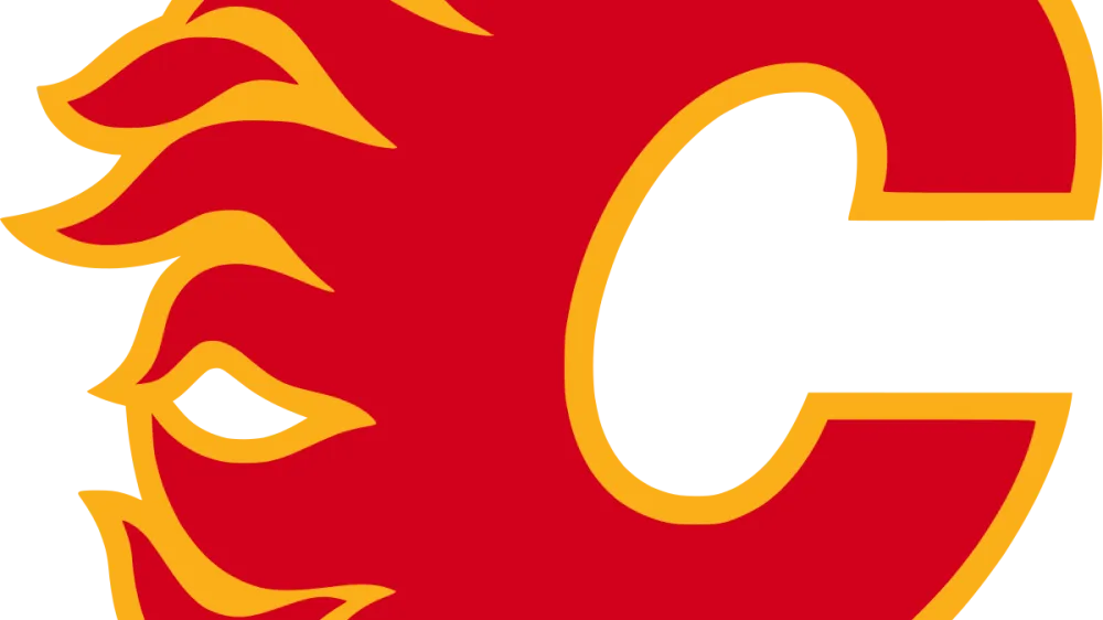 Dustin Wolf shines as Calgary Flames shutout San Jose Sharks 2-0 - Article News sur NHL Insight
