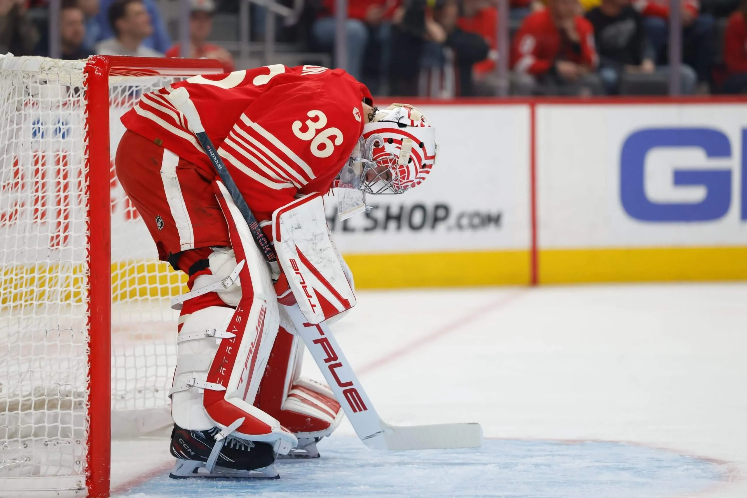 detroit-red-wings-drought_3.jpg