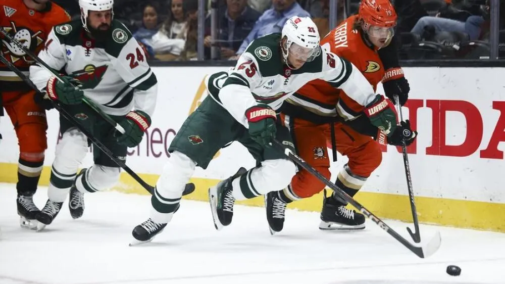 Ducks vs Wild projected lineup preview for November 15, 2025 - Article News sur NHL Insight