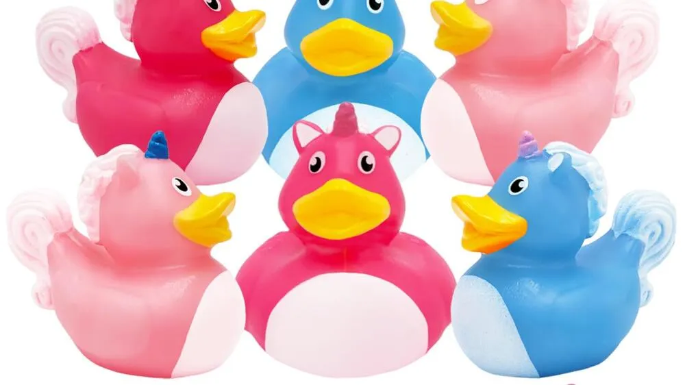 Anaheim Ducks x Ryoko Rain Capsule Collection: A Fashion-Forward Moment for NHL Merch - Article Multimedia sur NHL Insight