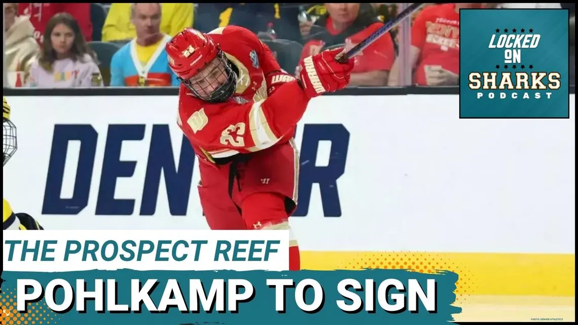 San Jose Sharks sign Eric Pohlkamp to two-year entry-level contract - Article Draft & Prospects sur NHL Insight