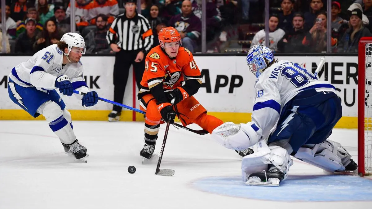 Fantasy hockey pickups: Look to Anthony Cirelli, Cam York and Mason Marchment - Article Analysis sur NHL Insight