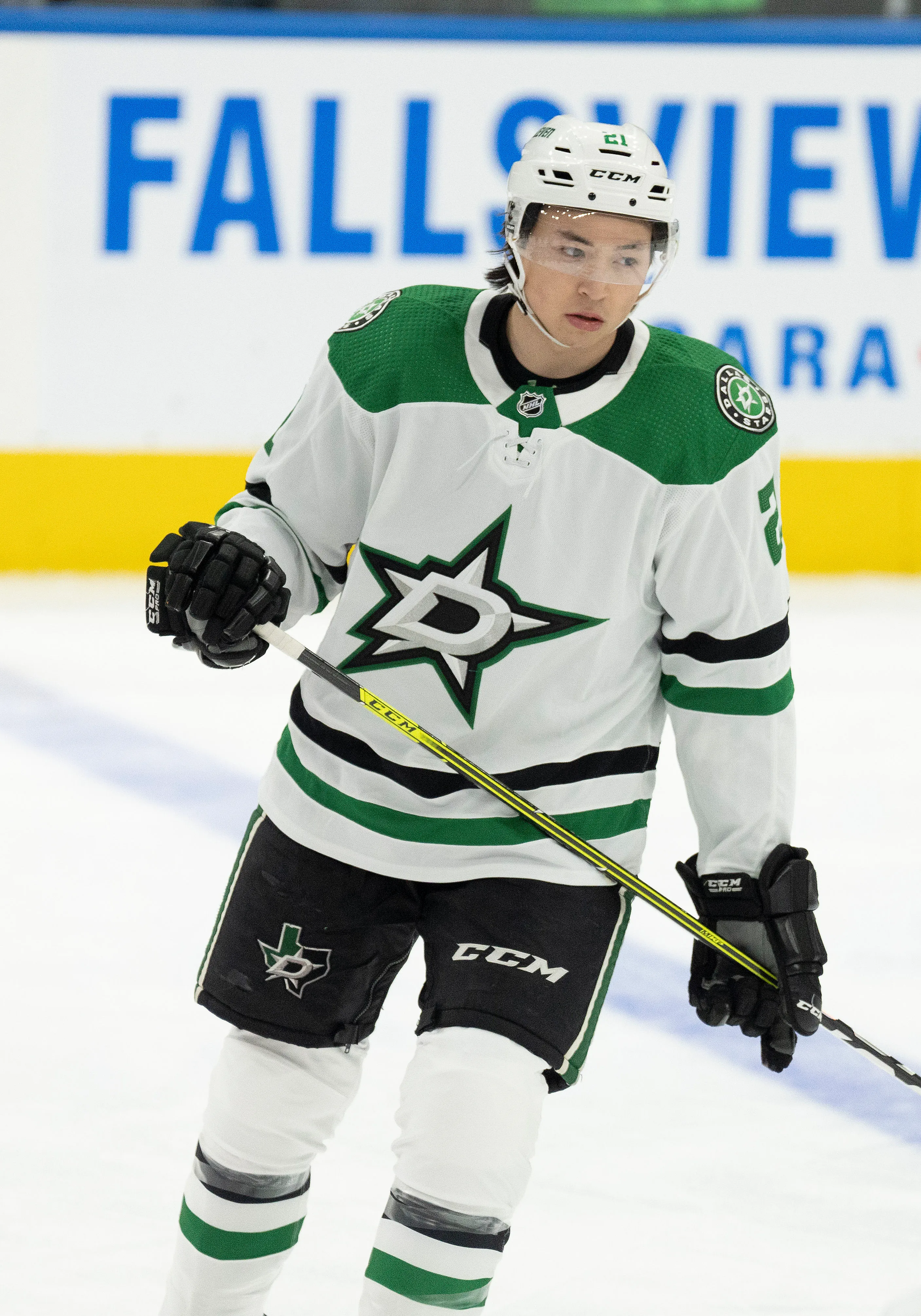 Jason Robertson Accepts One-Year Deal With Dallas Stars - Article News sur NHL Insight