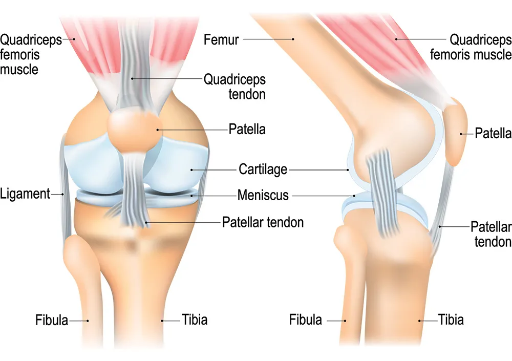 knee-on-knee-collision_0.jpg