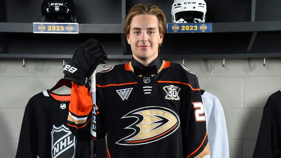 Anaheim Ducks prospect pool sets stage for sustained contention - Article Analysis en vedette sur NHL Insight