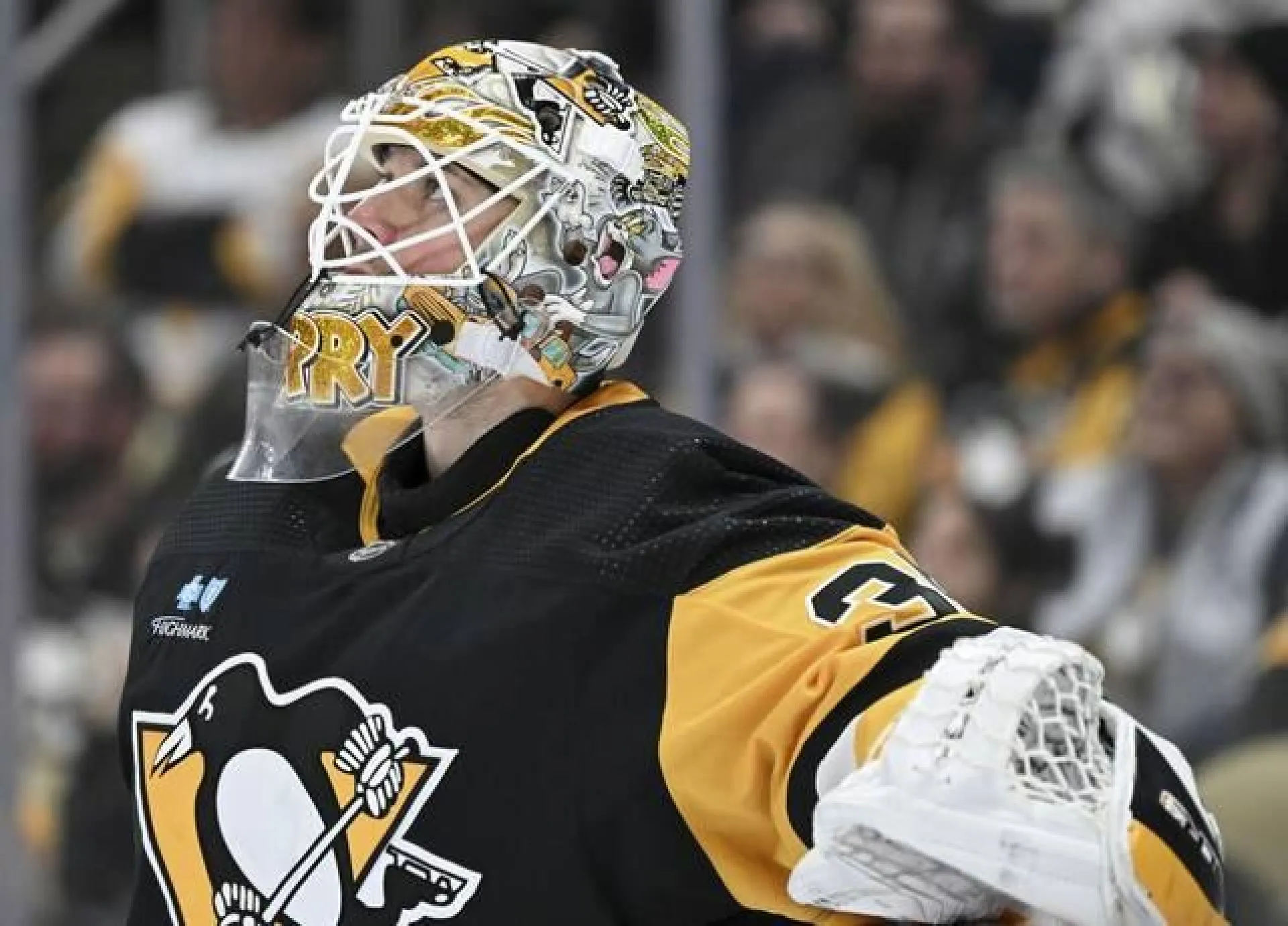 True hockey absorbs pro's choice after 40 years of mask craft - Article News sur NHL Insight