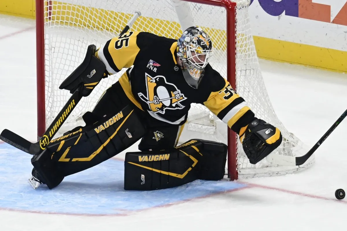 Three teams that could acquire anthony stolarz from the maple leafs this offseason - Article Analysis sur NHL Insight