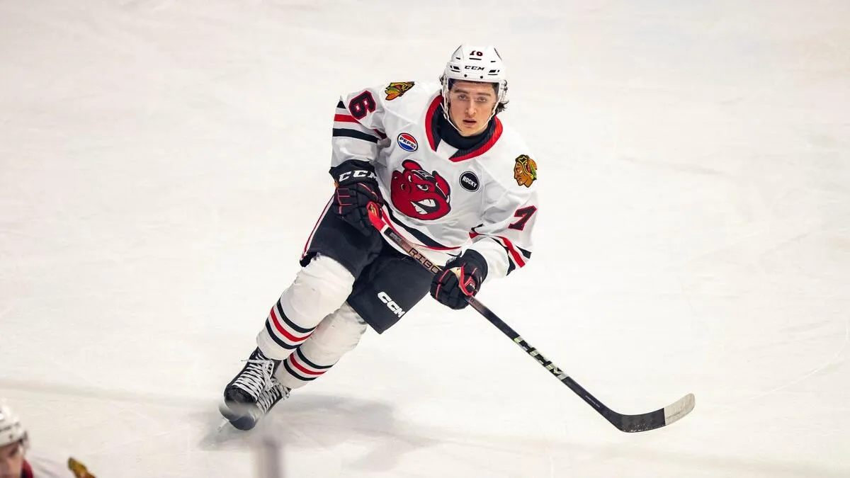 Blackhawks assign Nick Lardis to AHL affiliate Rockford IceHogs - Article Draft & Prospects sur NHL Insight
