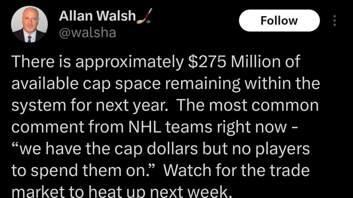 penguins-cap-space_1.jpeg