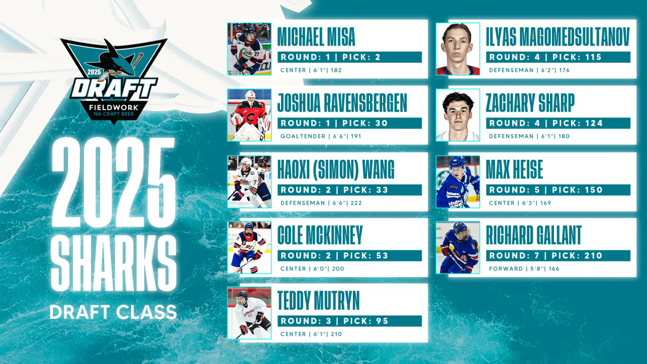San Jose Sharks land No. 2 pick in 2026 NHL draft lottery - Article News sur NHL Insight