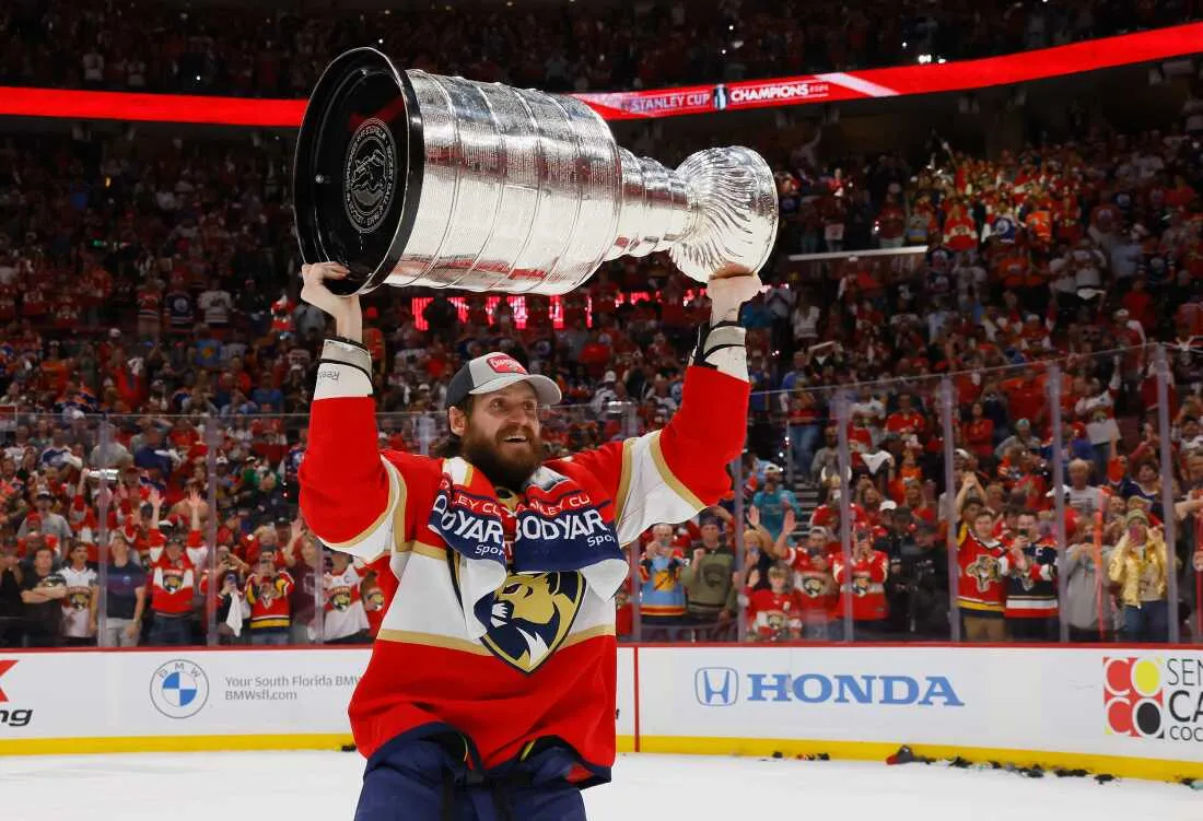 Hertl's late strike lifts Golden Knights past Hurricanes in Game 1 - Article News sur NHL Insight