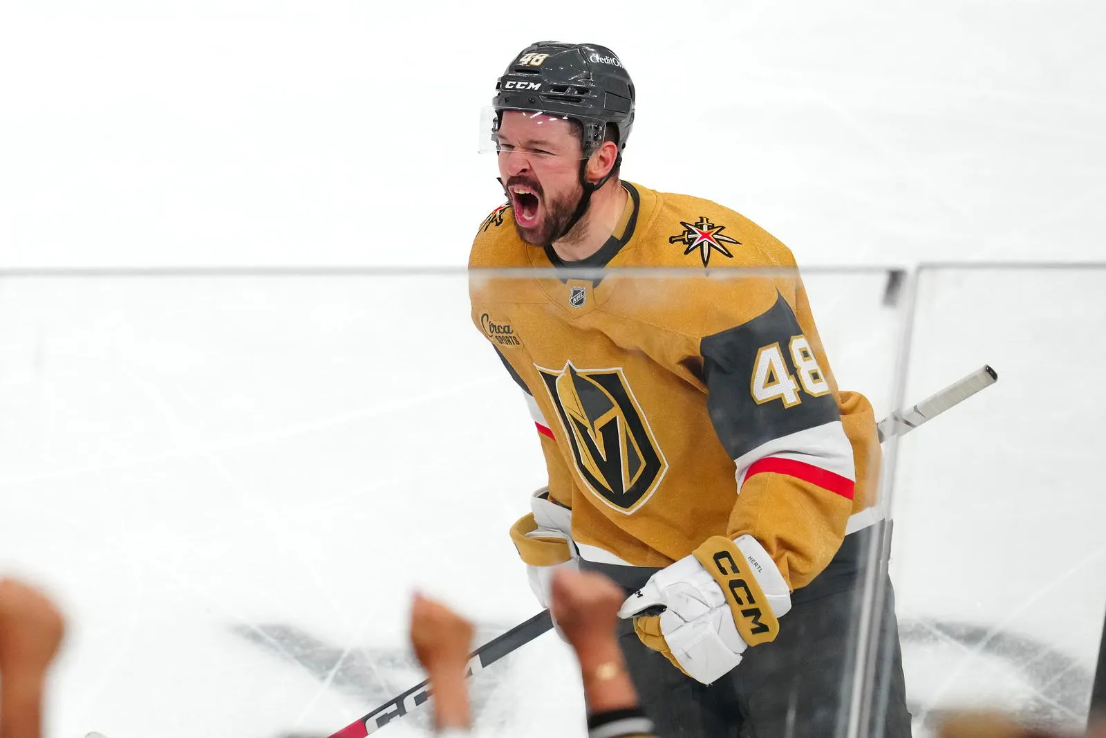 tomas-hertl-playoff-surge_0.jpeg